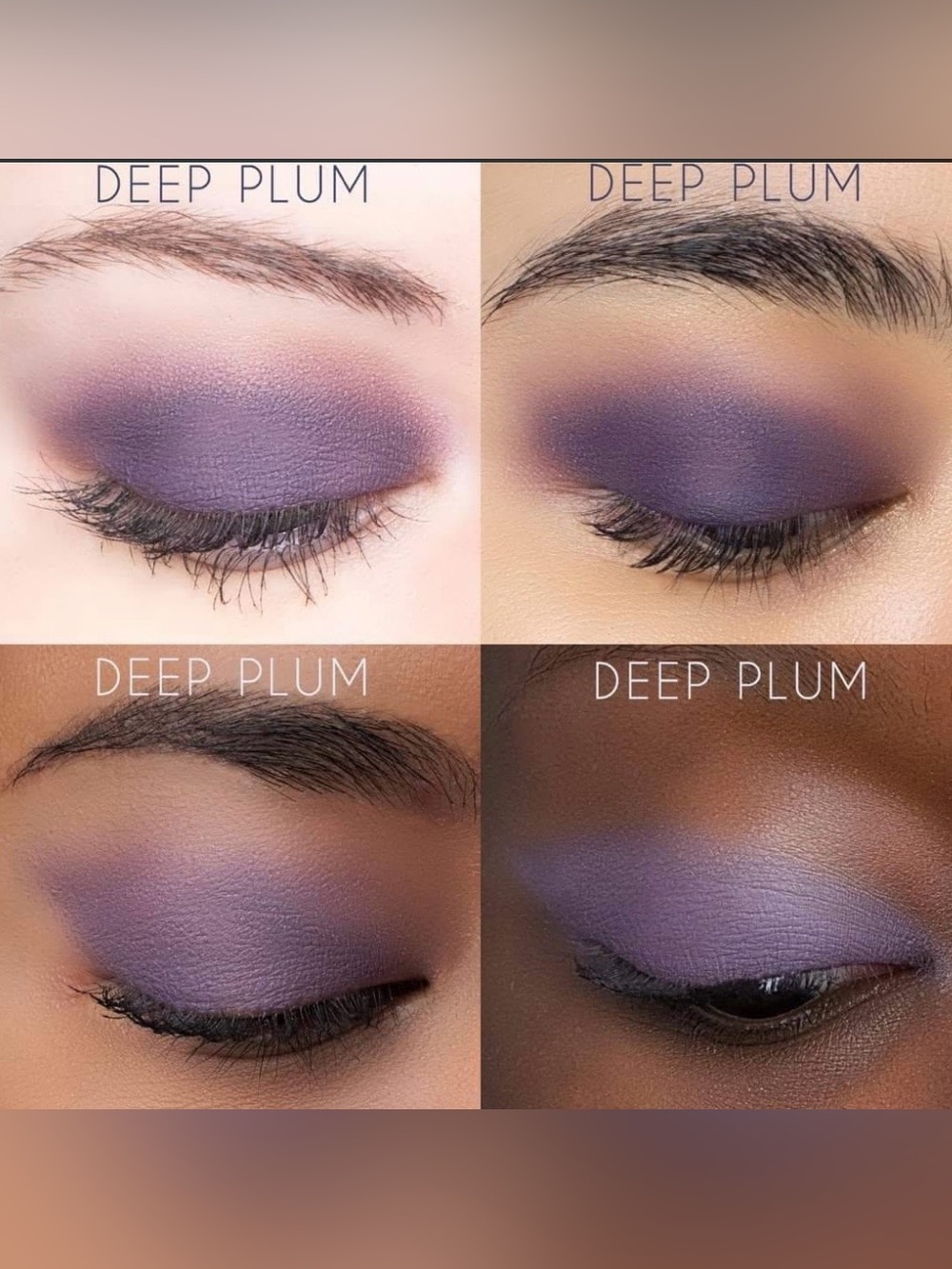SeneGence Deep Plum ShadowSense Matte Eyeshadow - Rich Purple Shade NWT